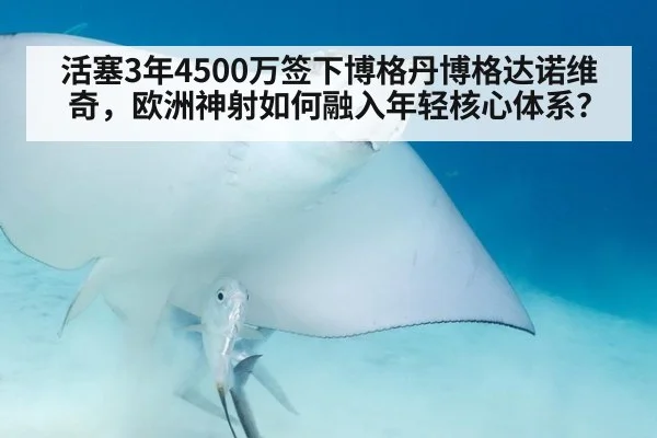 活塞3年4500万签下博格丹博格达诺维奇，欧洲神射如何融入年轻核心体系？