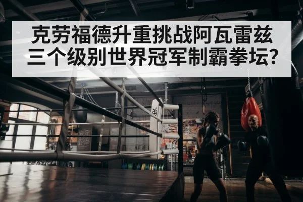 boxer training gym